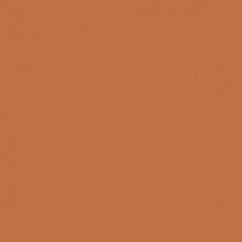 Acrylic color - Light brown