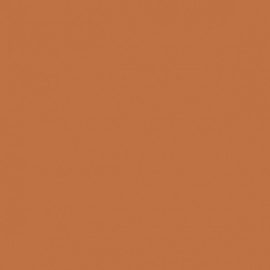 Akriliniai dažai - ruda (Light Brown)