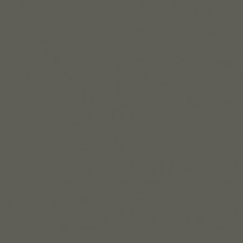 Akriliniai dažai - pilka (German Fieldgrey WWII)
