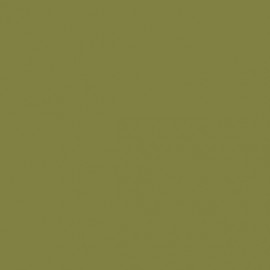 Acrylic colour - Golden Olive