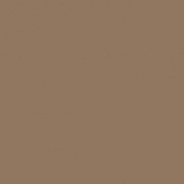 Acrylic color - Beige Brown