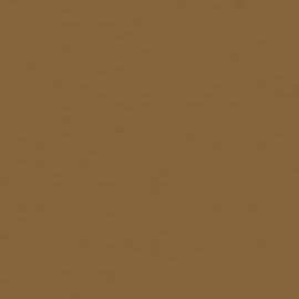 Akriliniai dažai - ruda (Golden Brown)