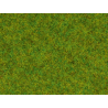 Scatter Grass “Spring Meadow”