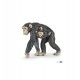 Šimpanzės figūrėlė