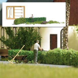 Action Set: Hedge cutting