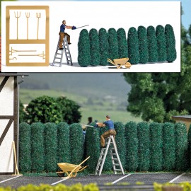 Action Set: Hedge Trimming