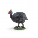 Guinea fowl