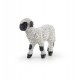 Valais Blacknose lamb