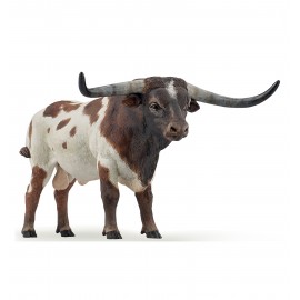 Longhorn bull