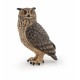 Great Horned Owl