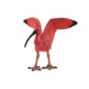 Scarlet Ibis