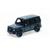 Mercedes-Benz G-Class (W463), 2020