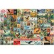 National Birds of the World