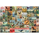 National Birds of the World