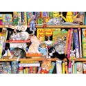 Storytime Kittens
