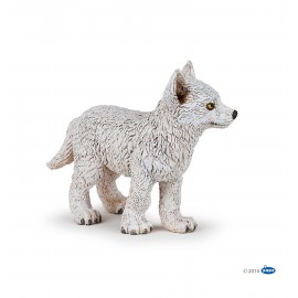 Young polar wolf