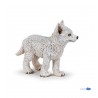 Young polar wolf