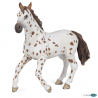 Papo Brown appaloosa mare