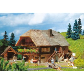 Black Forest farmhouse