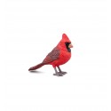 Northern Cardinal