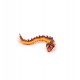 Fire Basilisk