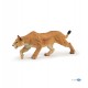Lioness
