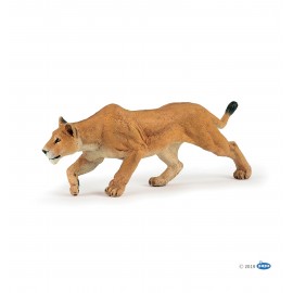 Lioness