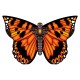 Kite ButterFly "Orange"