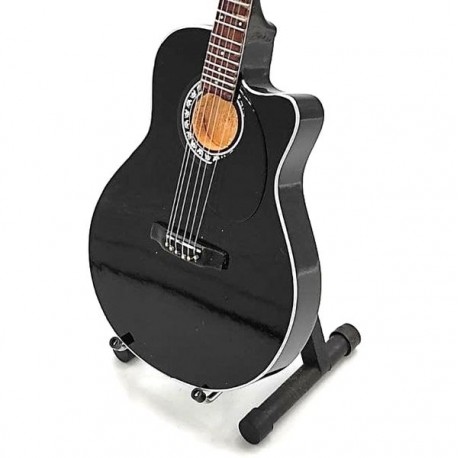 Jon Bon Jovi elektrinės gitaros modelis