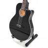 Jon Bon Jovi elektrinės gitaros modelis