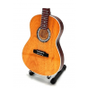 Paco de Lucia klasikinės gitaros modelis