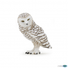 Snowy owl