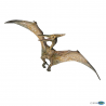 Pteranodon