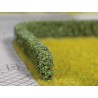 Model Hedges dark green