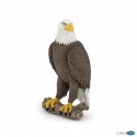 Sea eagle