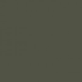 Acrylic color - Camouflage Olive Green