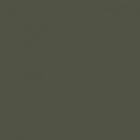 Acrylic color - Camouflage Olive Green