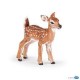 White-tailed fawn